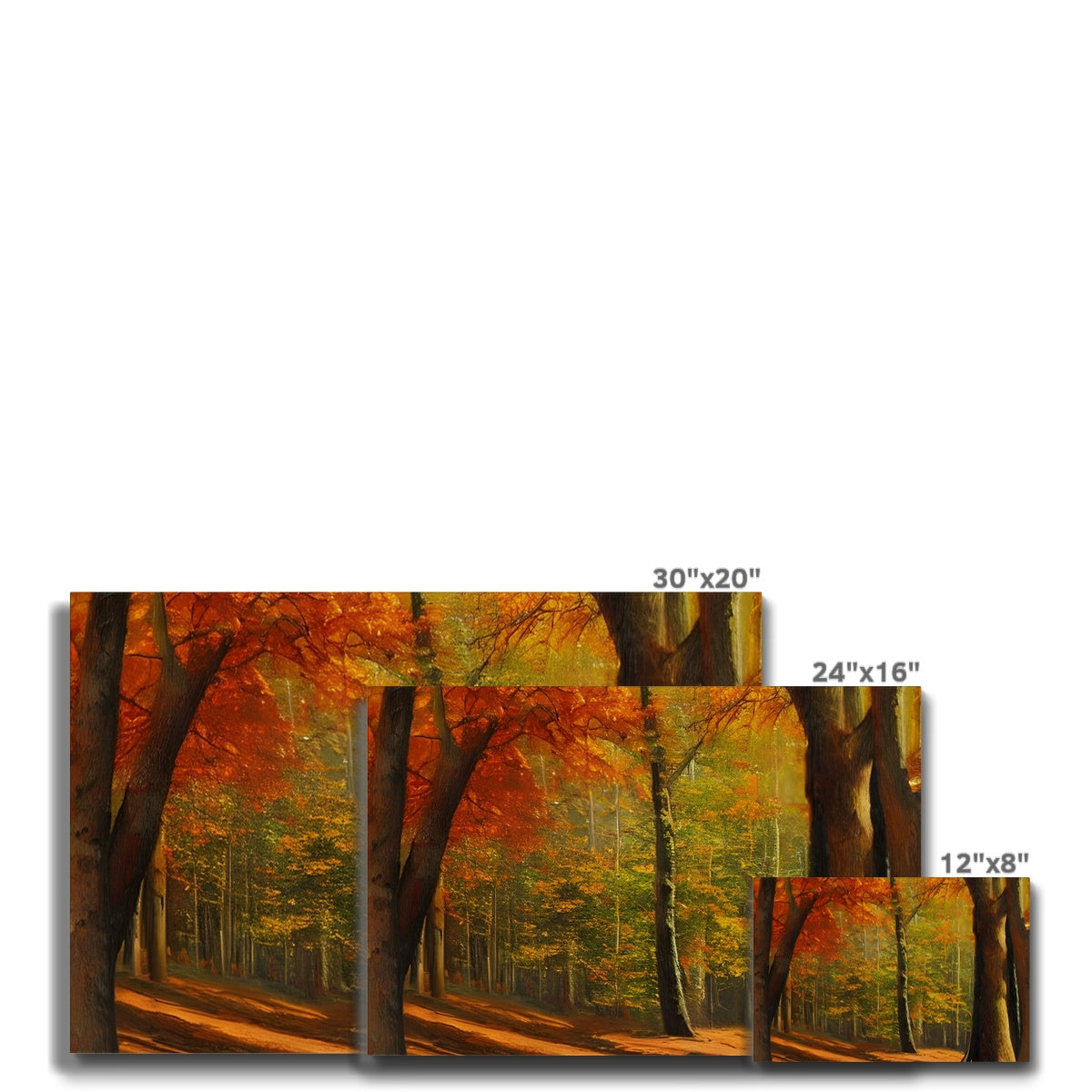 Forest kissed by Autumn  Eco Canvas Prodigi