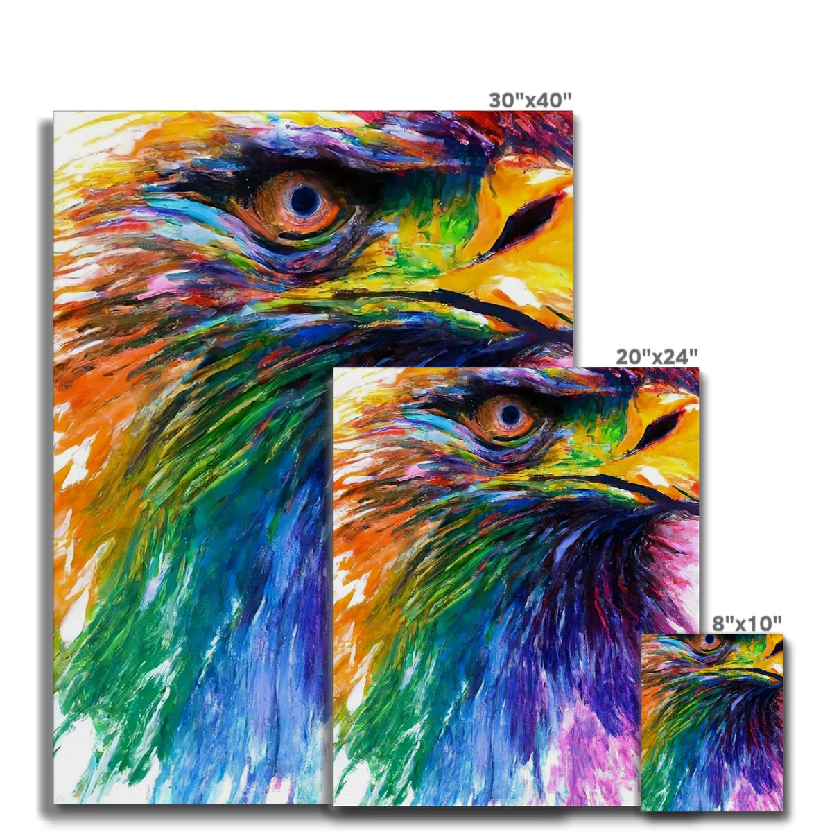 Rainbow Eagle Canvas Prodigi