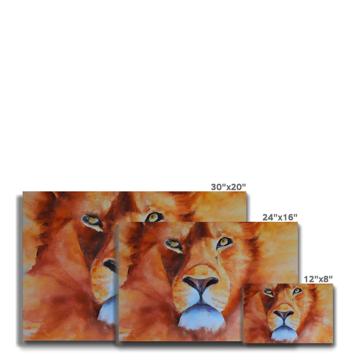 Majestic Lion Eco Canvas Prodigi