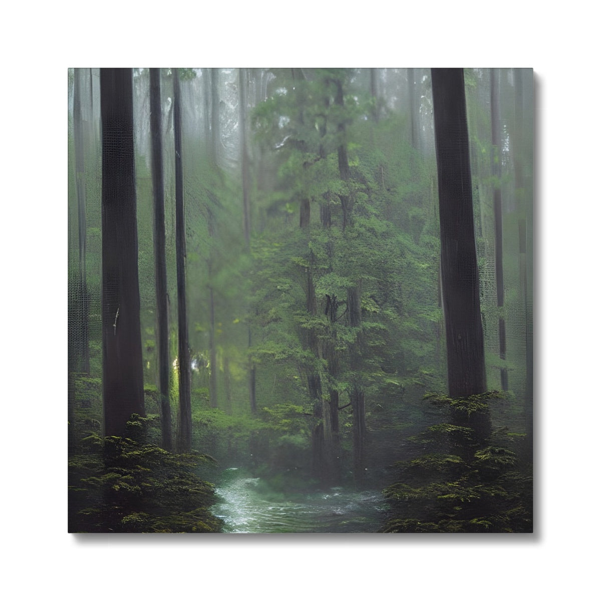 Rainy Forest Canvas Prodigi