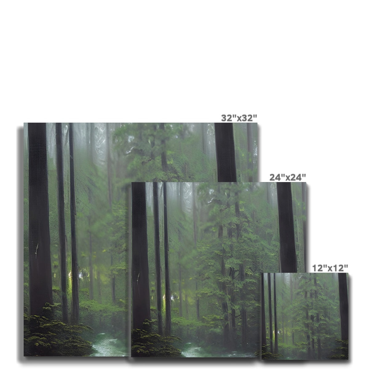 Rainy Forest Canvas Prodigi