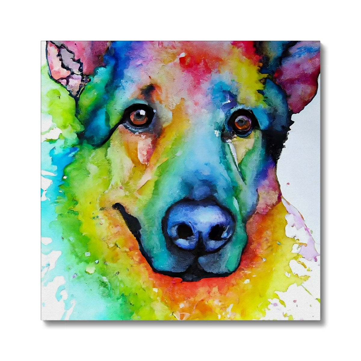 Rainbow Shepherd Dog  Canvas Prodigi