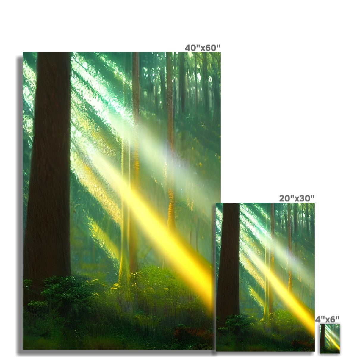 A Ray of Light in the Forest Fine Art Print Prodigi