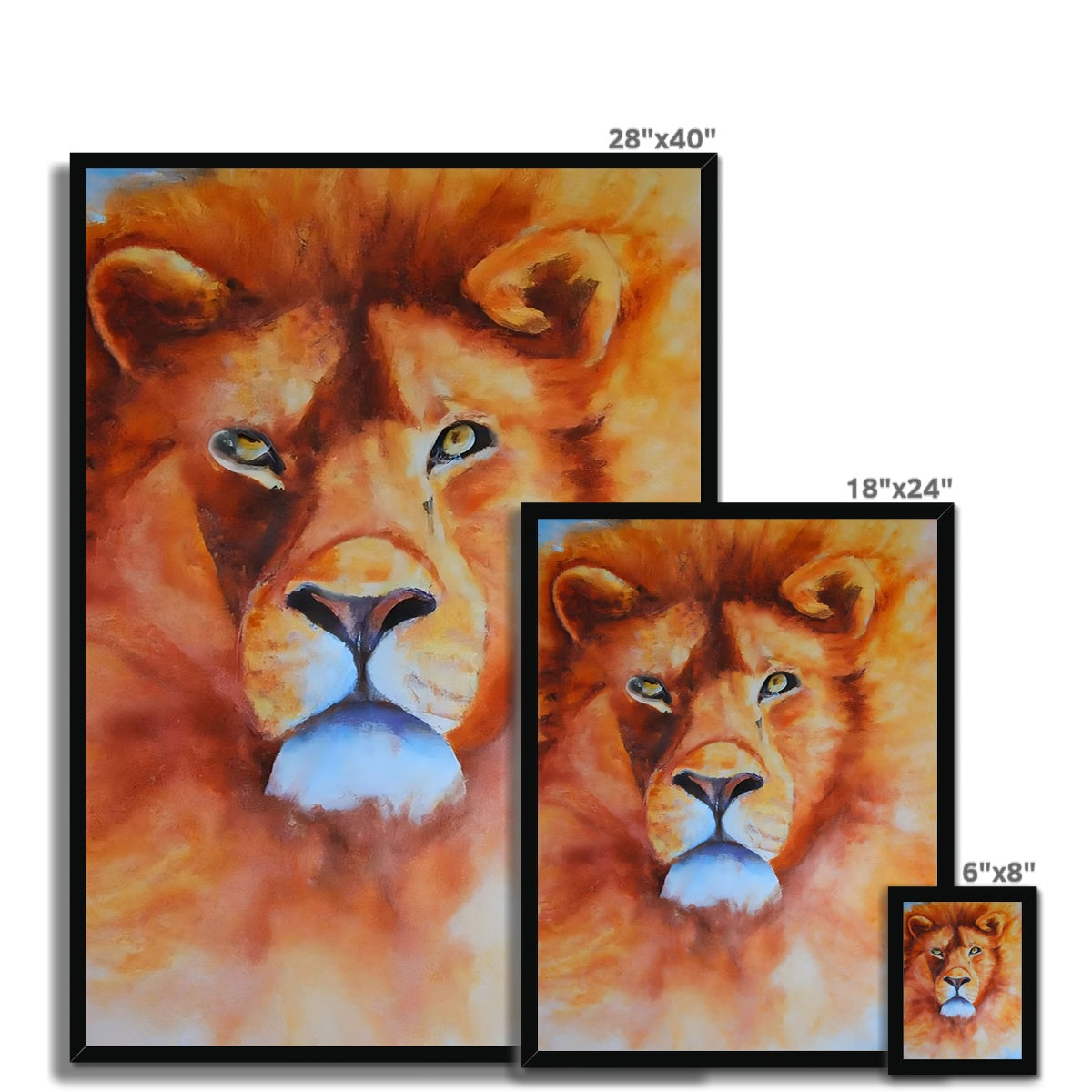 Majestic Lion Framed Print Prodigi