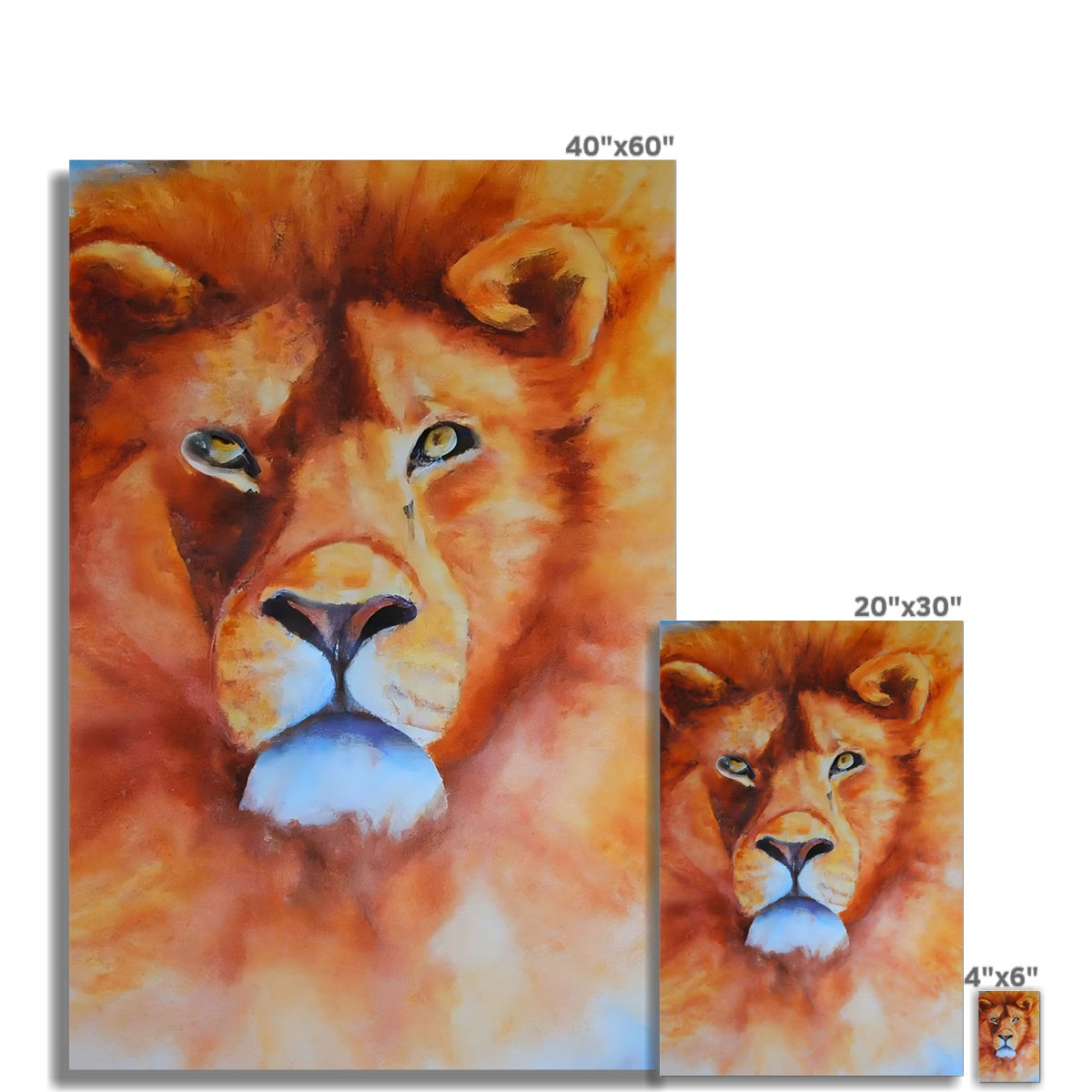 Majestic Lion Fine Art Print Prodigi