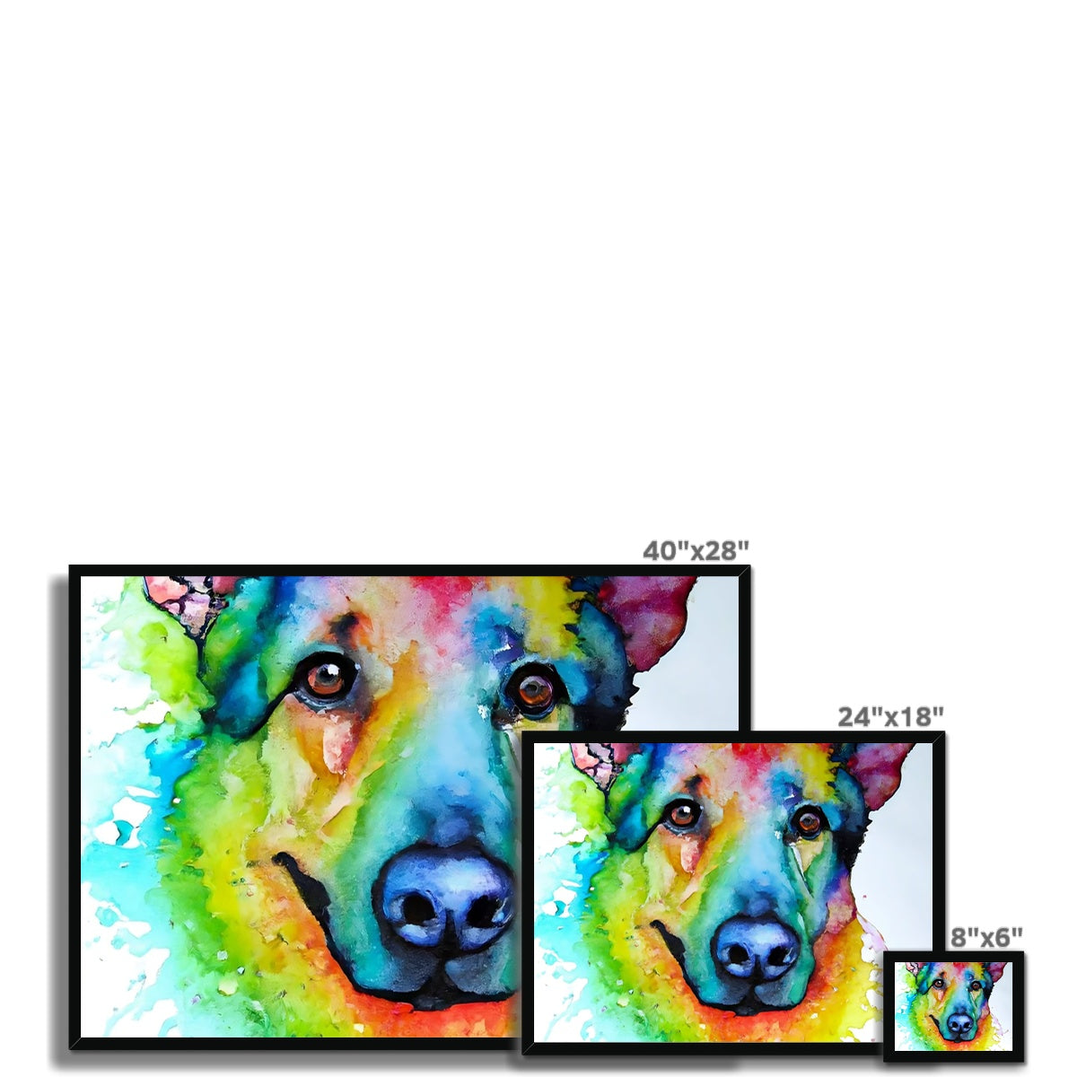 Rainbow Shepherd Dog  Framed Print Prodigi