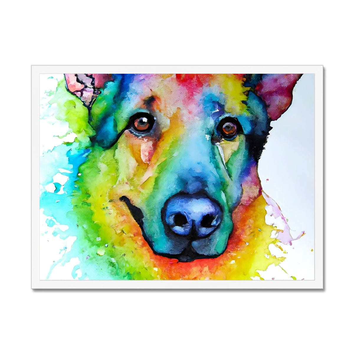 Rainbow Shepherd Dog  Framed Print Prodigi