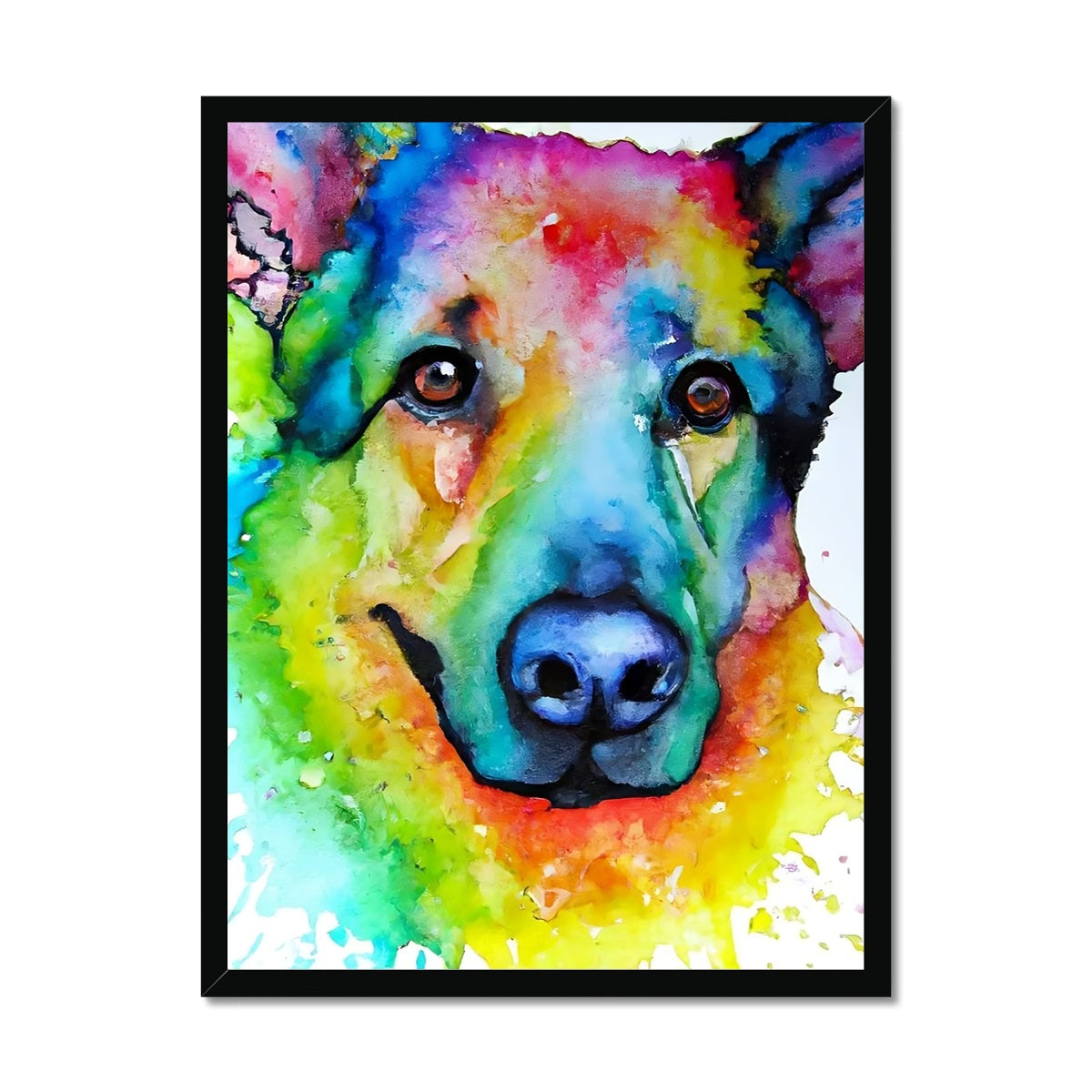 Rainbow Shepherd Dog  Framed Print Prodigi