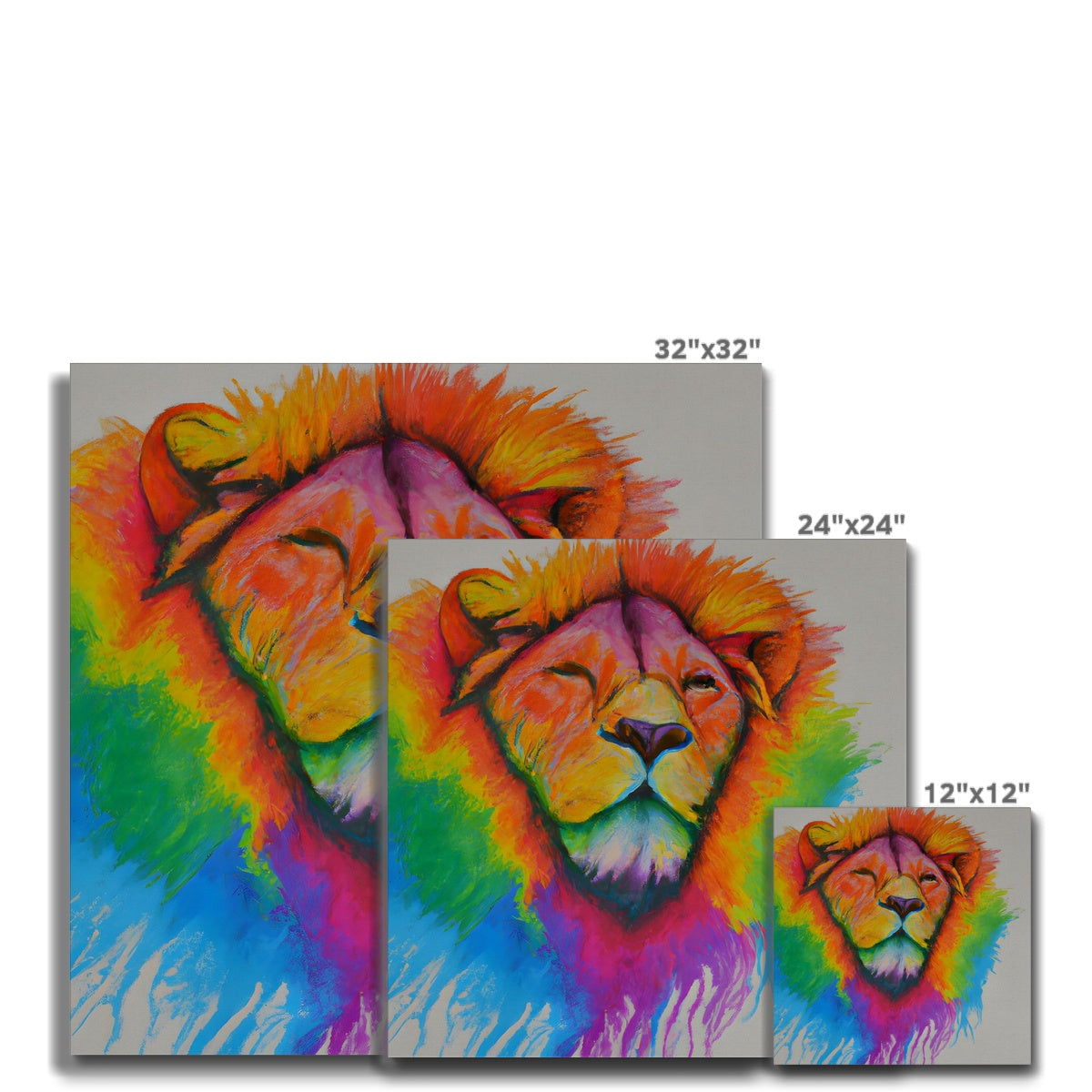 Rainbow Lion Canvas Prodigi