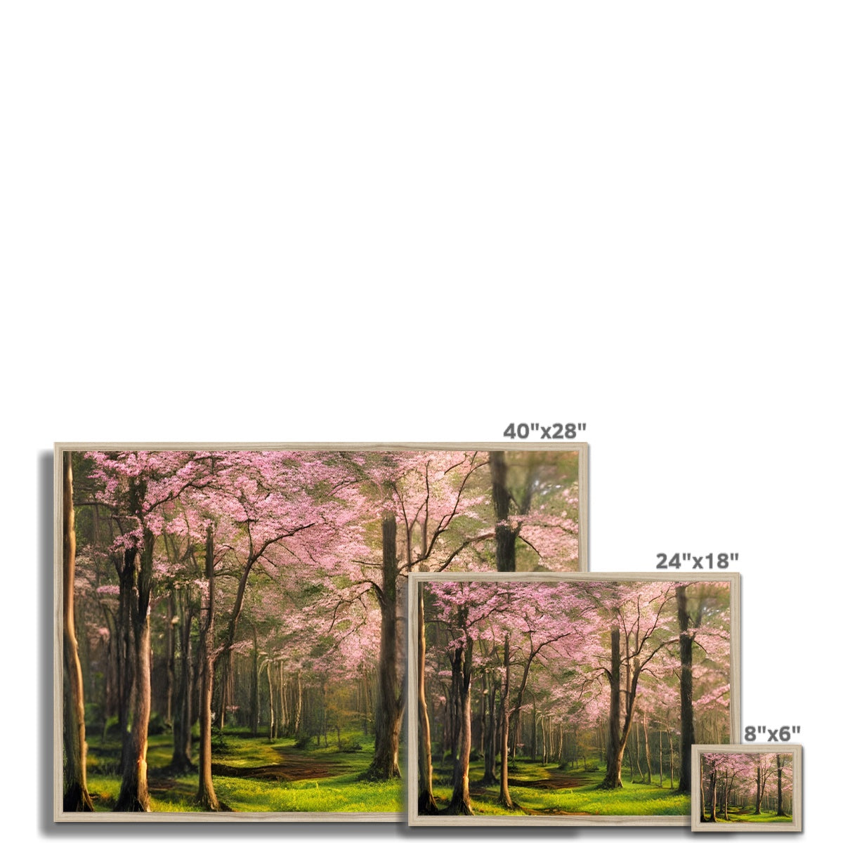 Cherry Blossom in a Forest Framed Print Prodigi