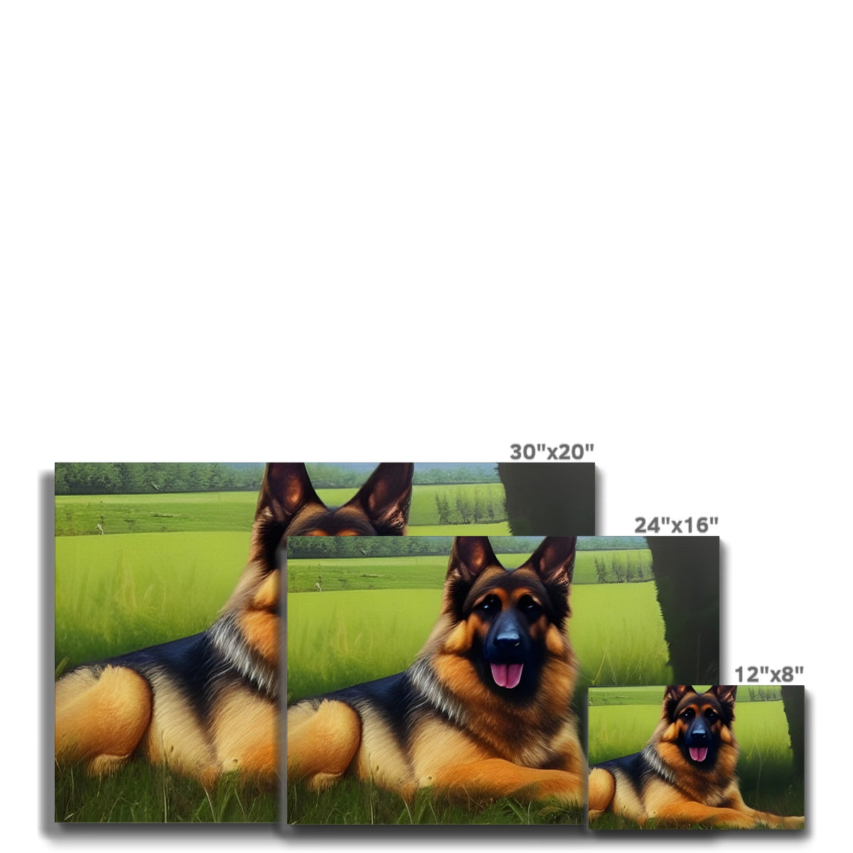 Dog Laying in a Field Eco Canvas Prodigi