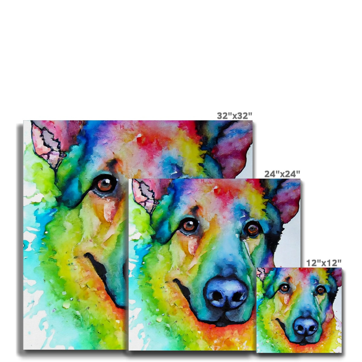 Rainbow Shepherd Dog  Canvas Prodigi