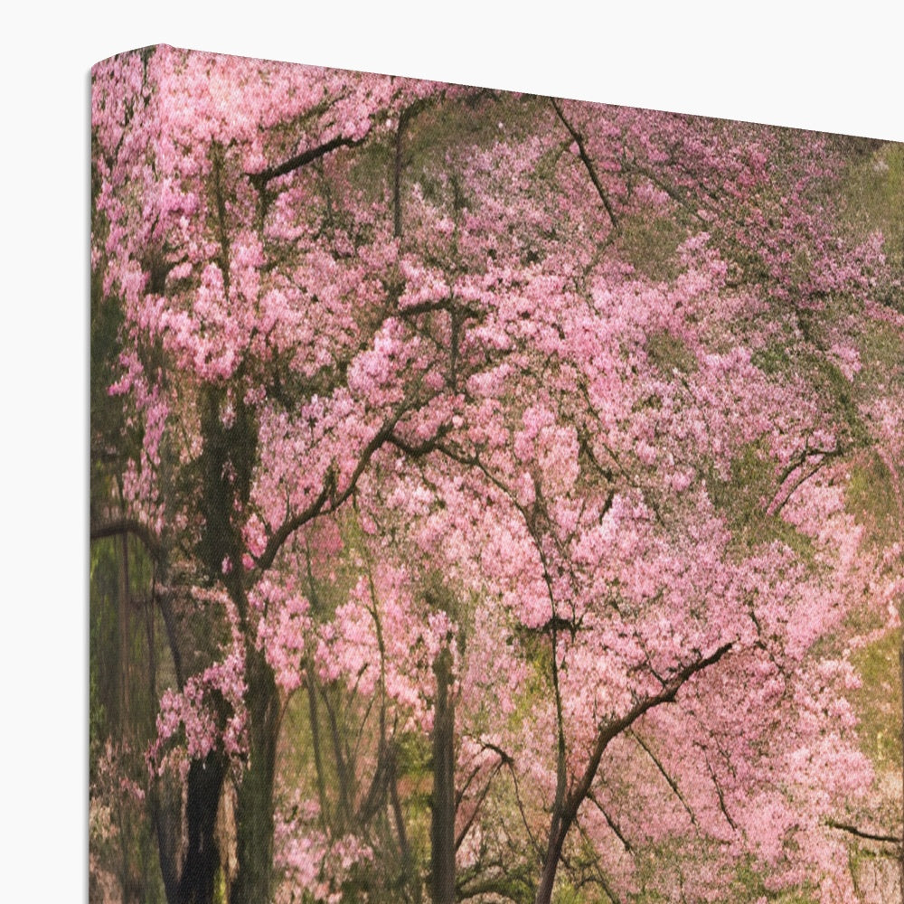 Cherry Blossom in a Forest Eco Canvas Prodigi