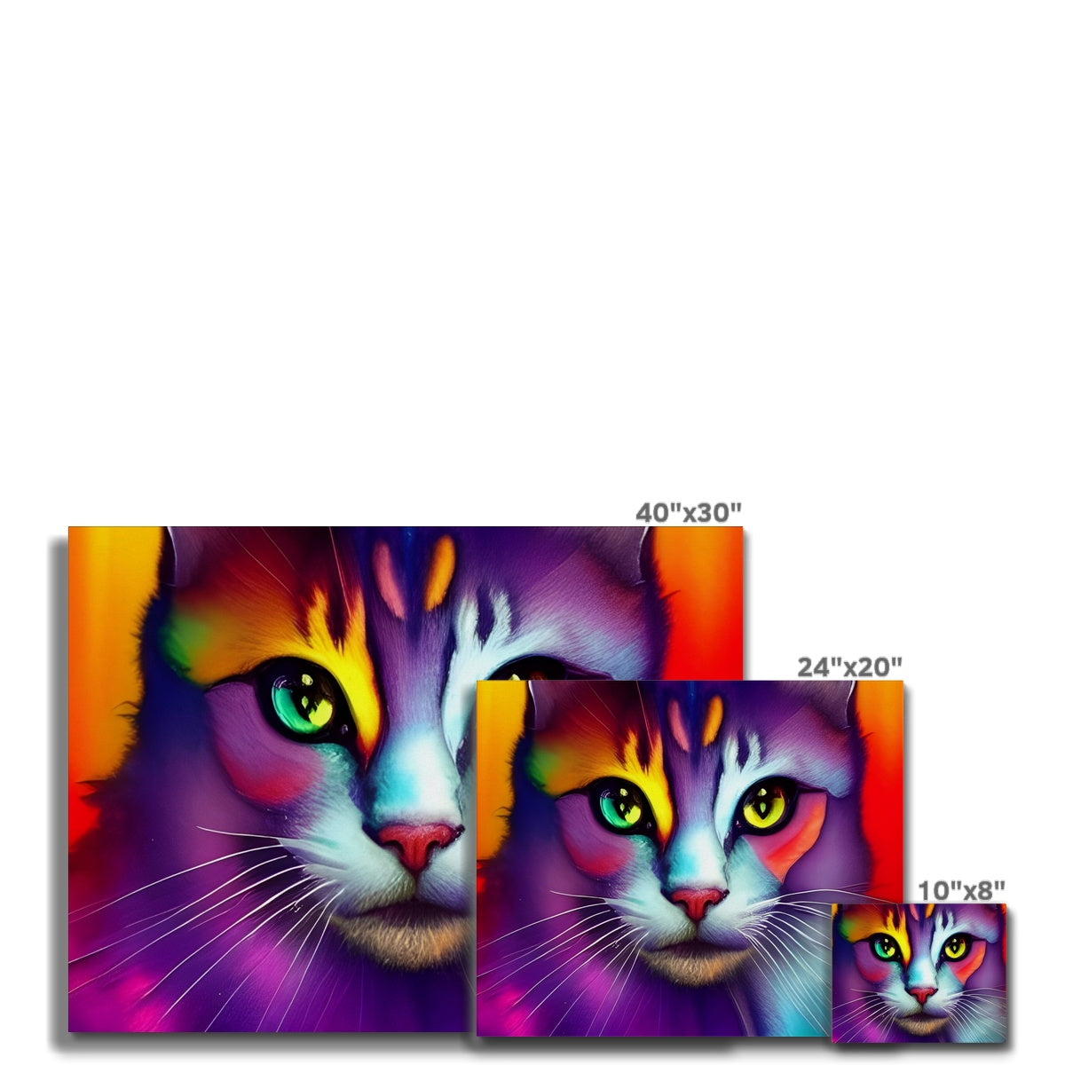 Colorful Cat Canvas Prodigi