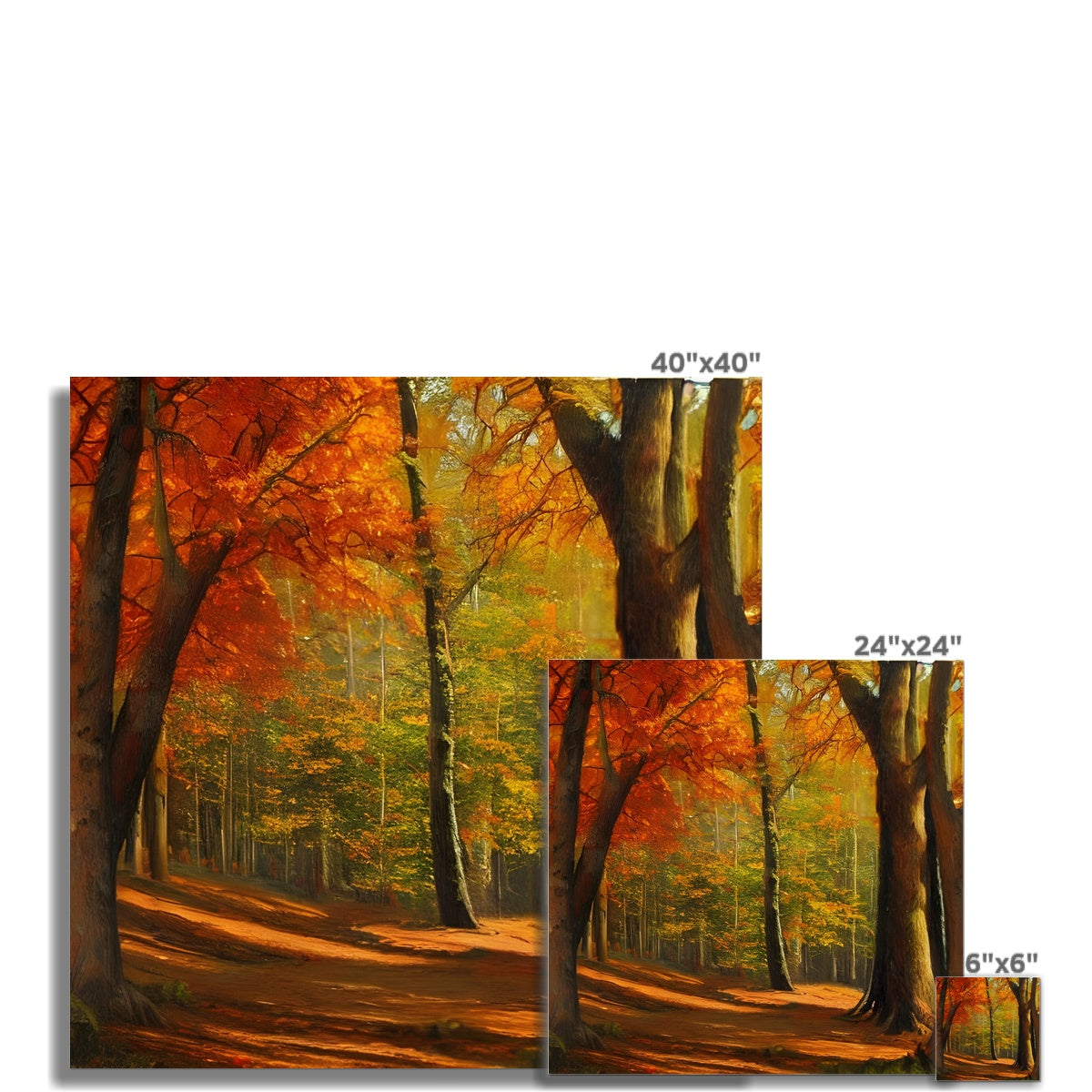 Forest kissed by Autumn  Fine Art Print Prodigi