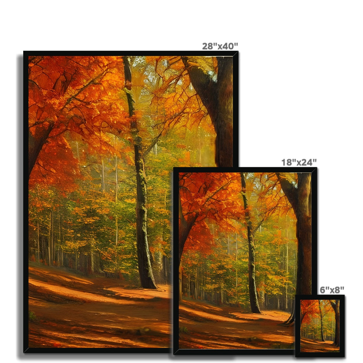 Forest kissed by Autumn  Framed Print Prodigi