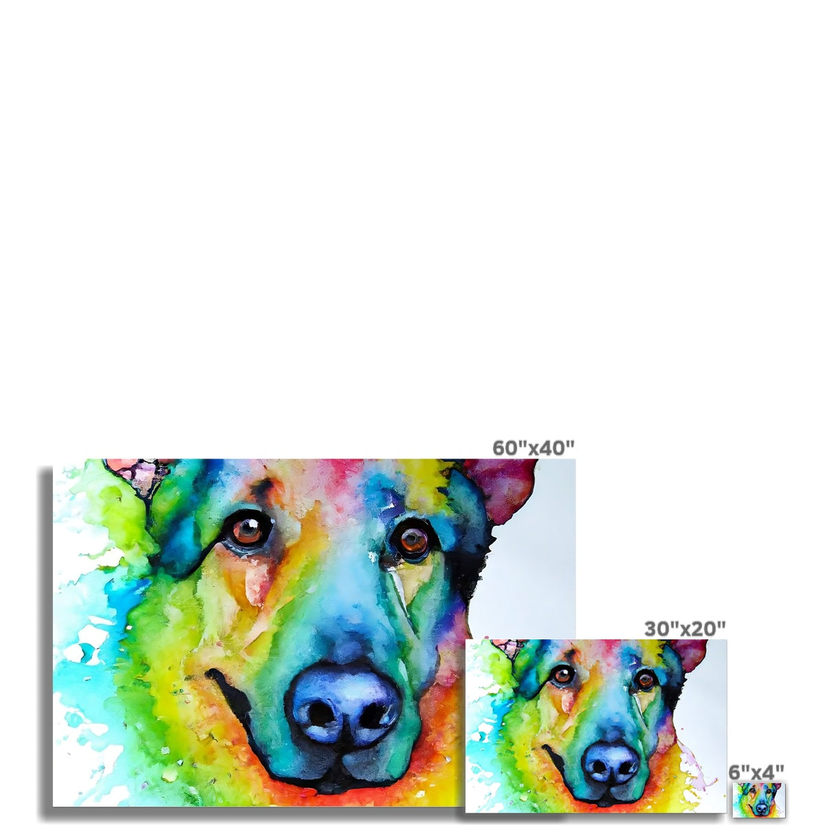 Rainbow Shepherd Dog  Fine Art Print Prodigi