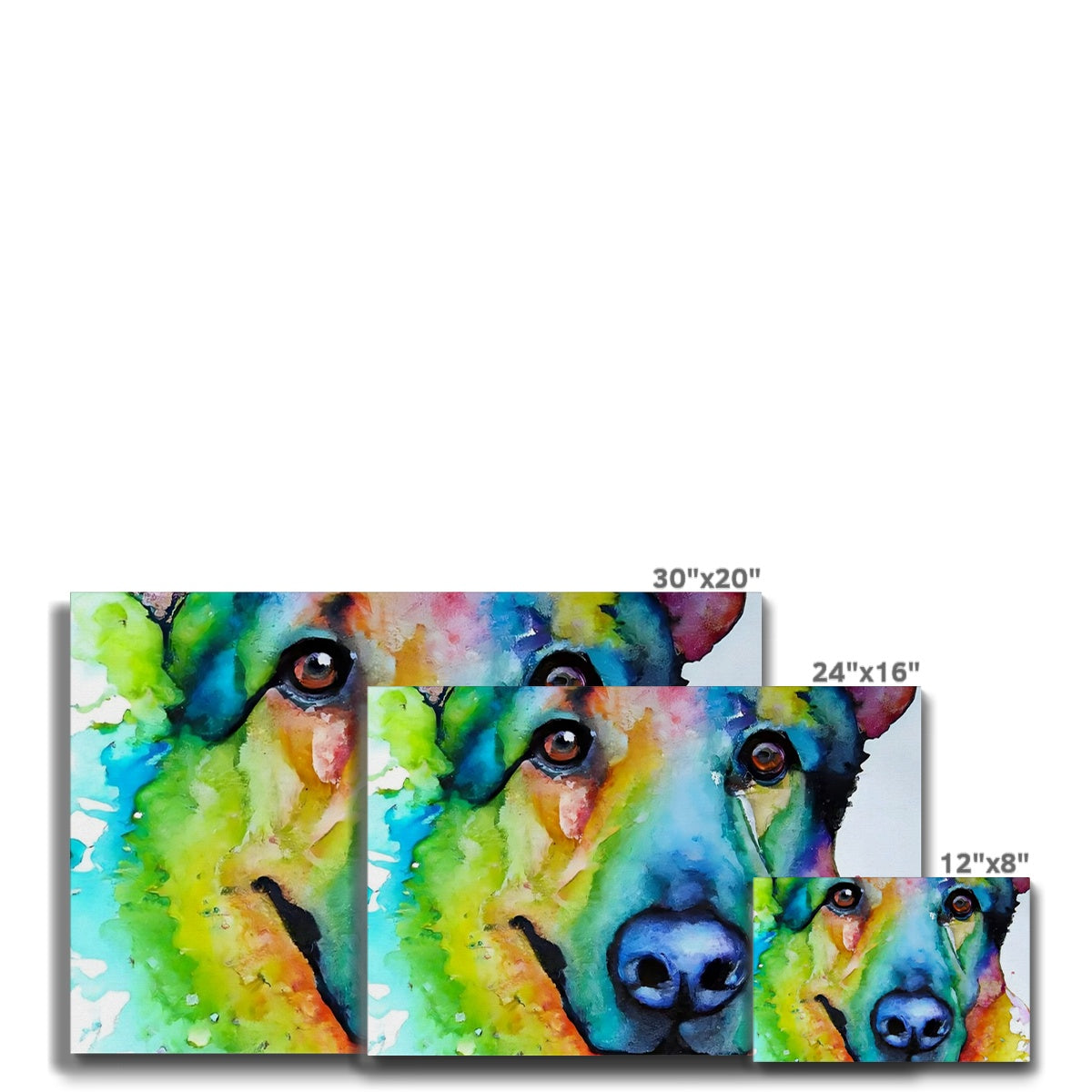 Rainbow Shepherd Dog  Eco Canvas Prodigi