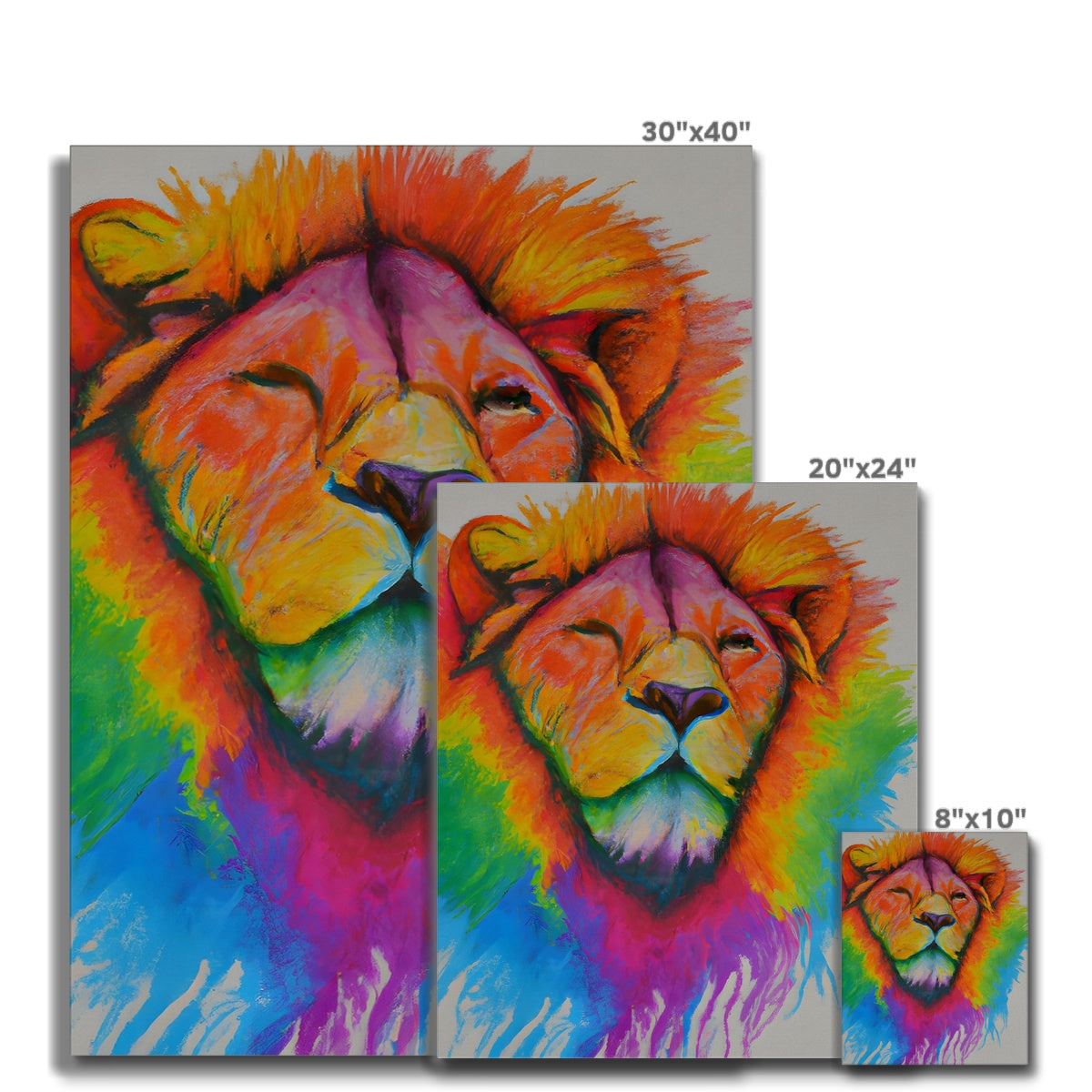 Rainbow Lion Canvas Prodigi