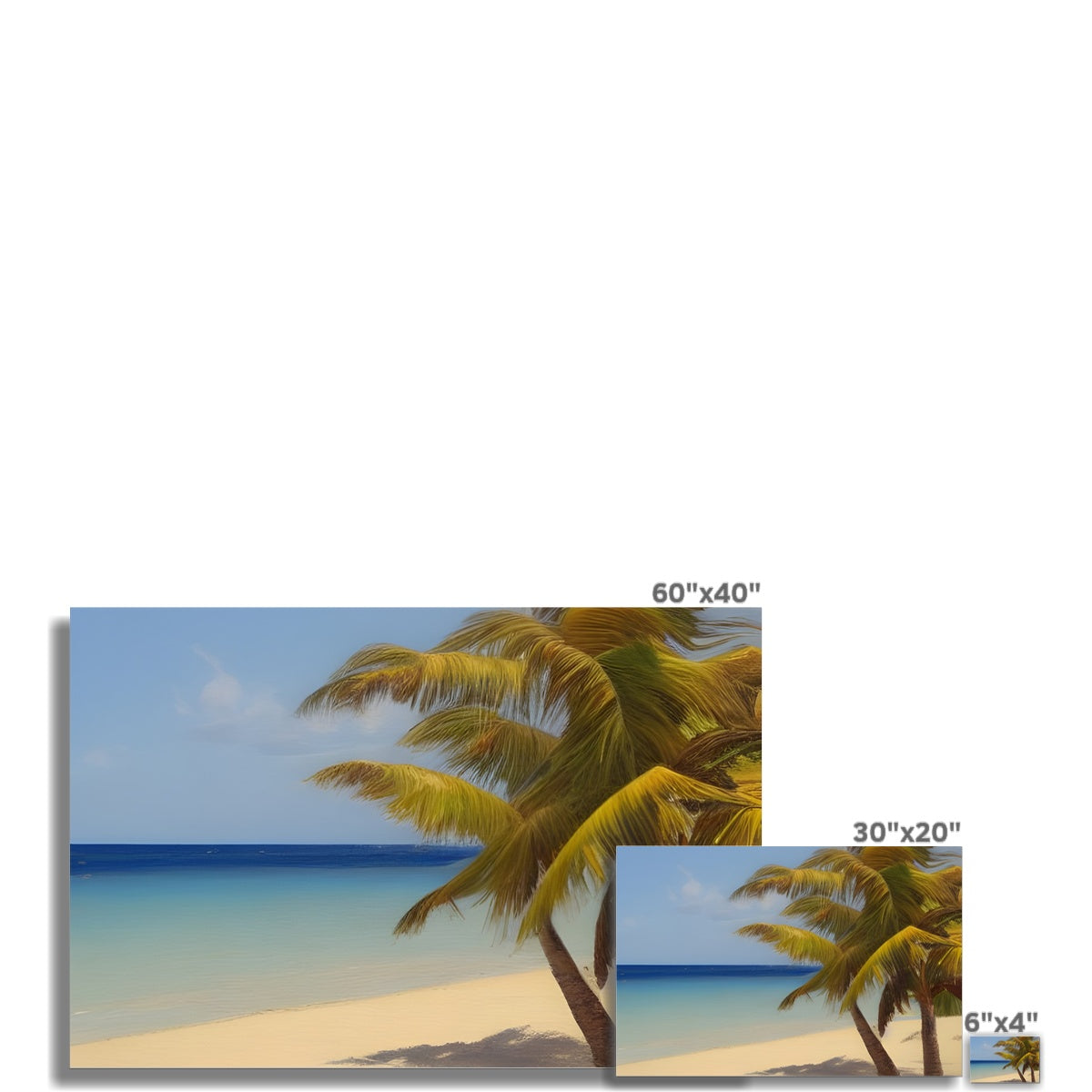 Calm Palm Beach Fine Art Print Prodigi