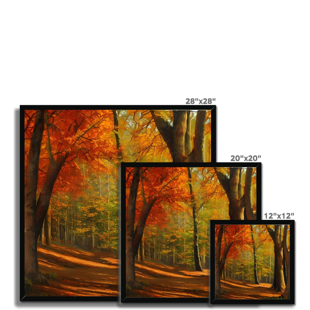 Forest kissed by Autumn  Framed Print Prodigi