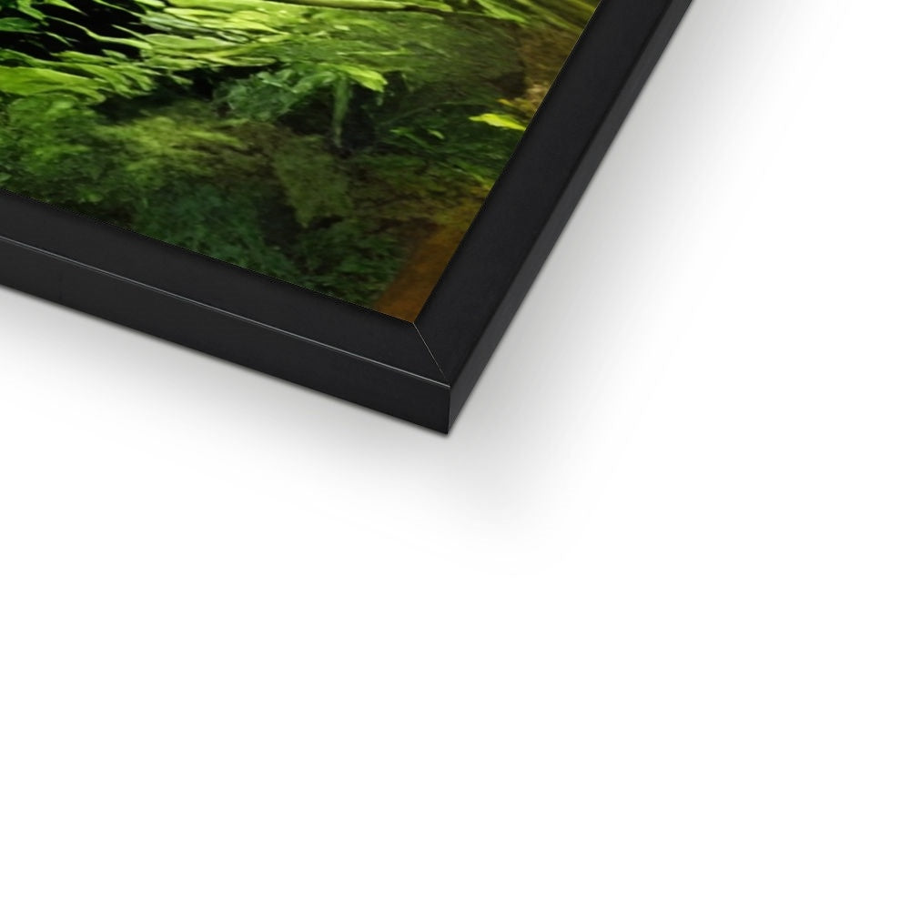 Small Puddle in the Forest Framed Print Prodigi