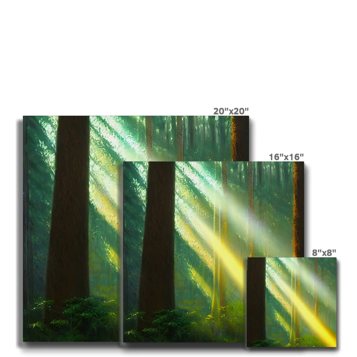 A Ray of Light in the Forest Eco Canvas Prodigi