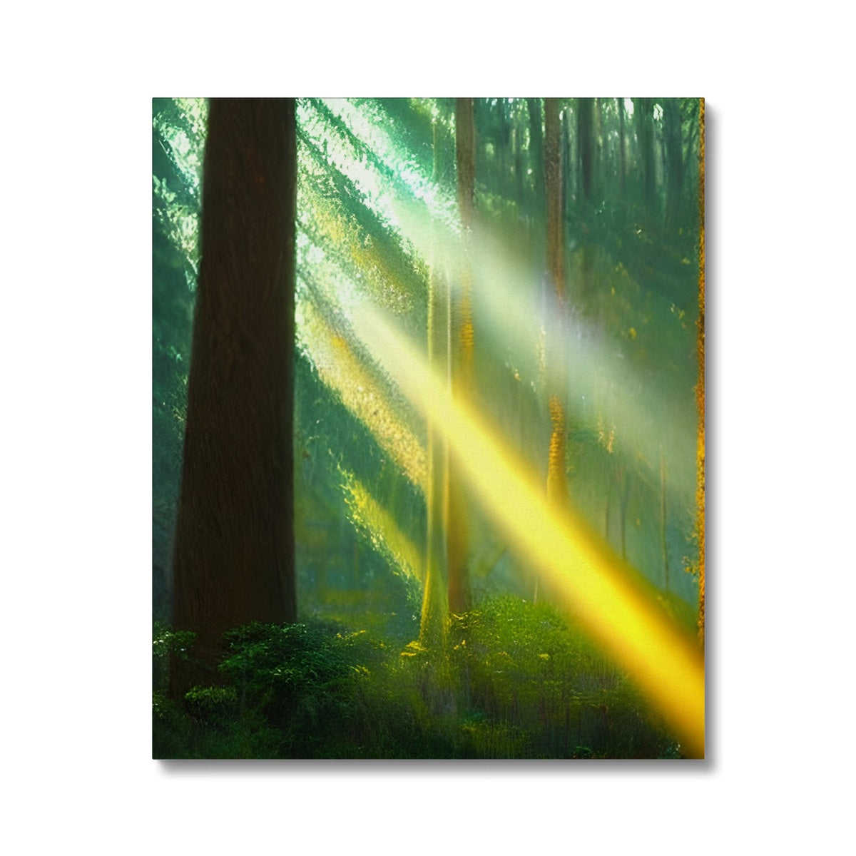 A Ray of Light in the Forest Canvas Prodigi