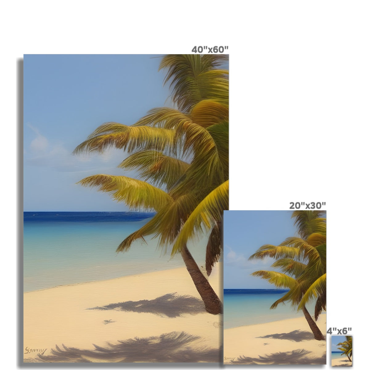 Calm Palm Beach Fine Art Print Prodigi