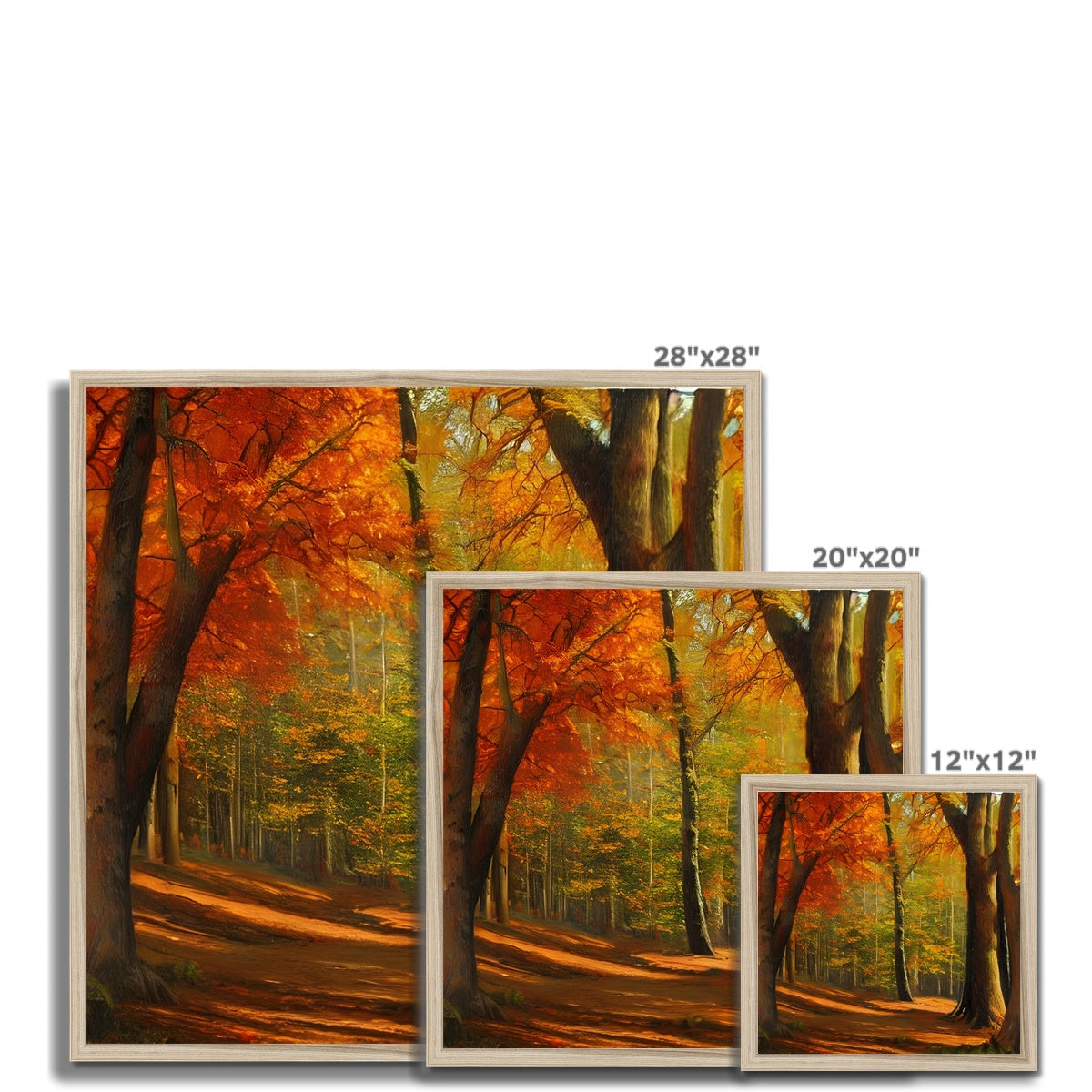 Forest kissed by Autumn  Framed Print Prodigi