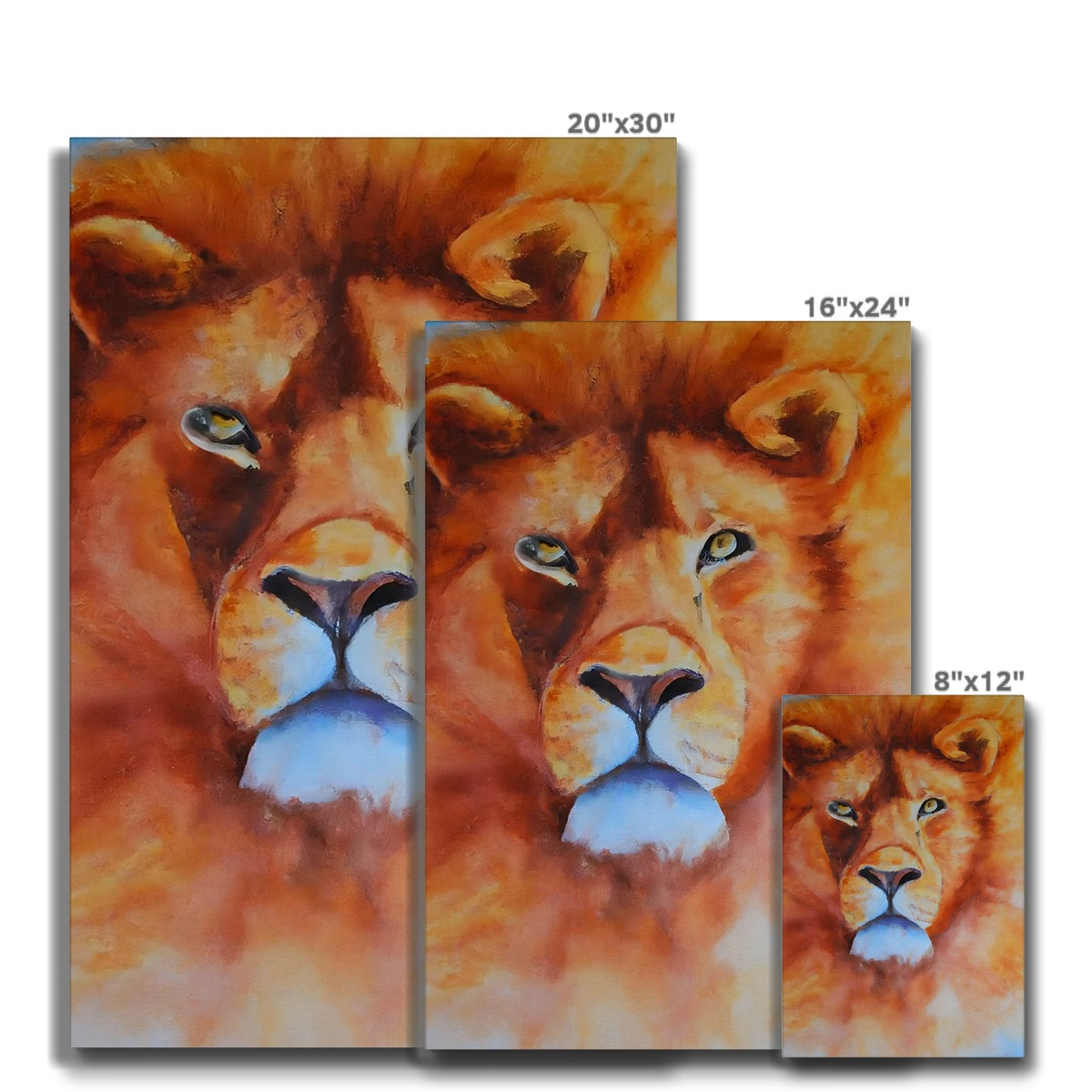 Majestic Lion Eco Canvas Prodigi