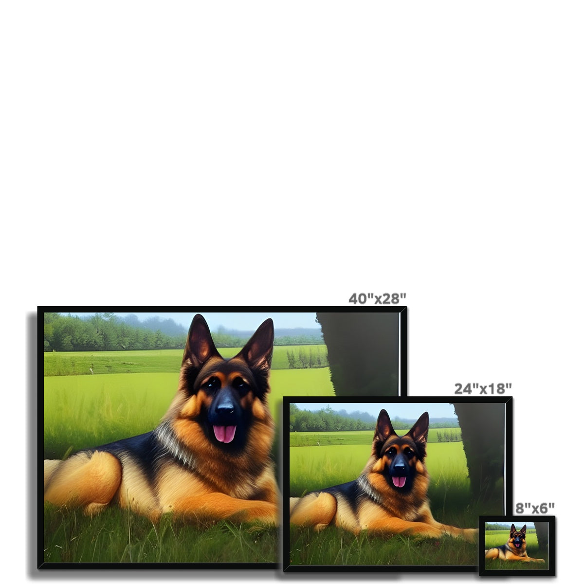 Dog Laying in a Field Framed Print Prodigi