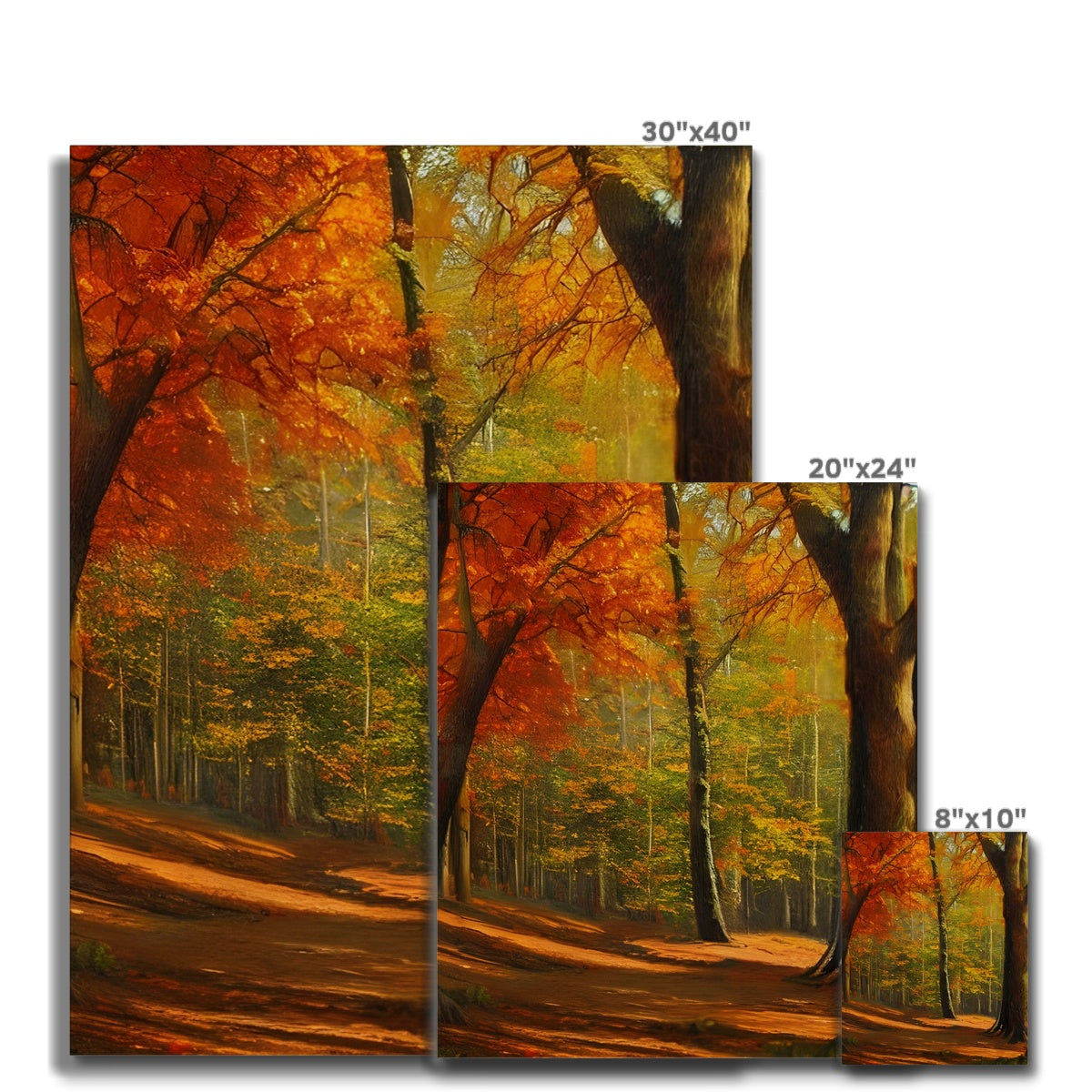 Forest kissed by Autumn  Canvas Prodigi