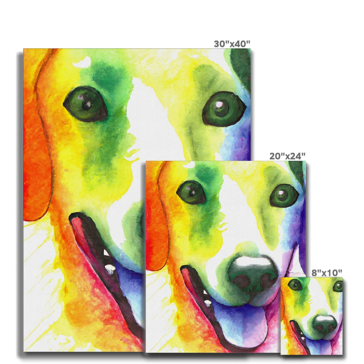 Happy Rainbow Dog Canvas Prodigi