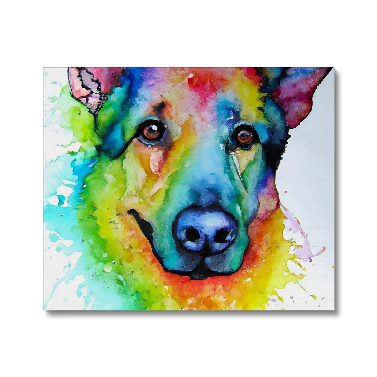 Rainbow Shepherd Dog  Canvas Prodigi