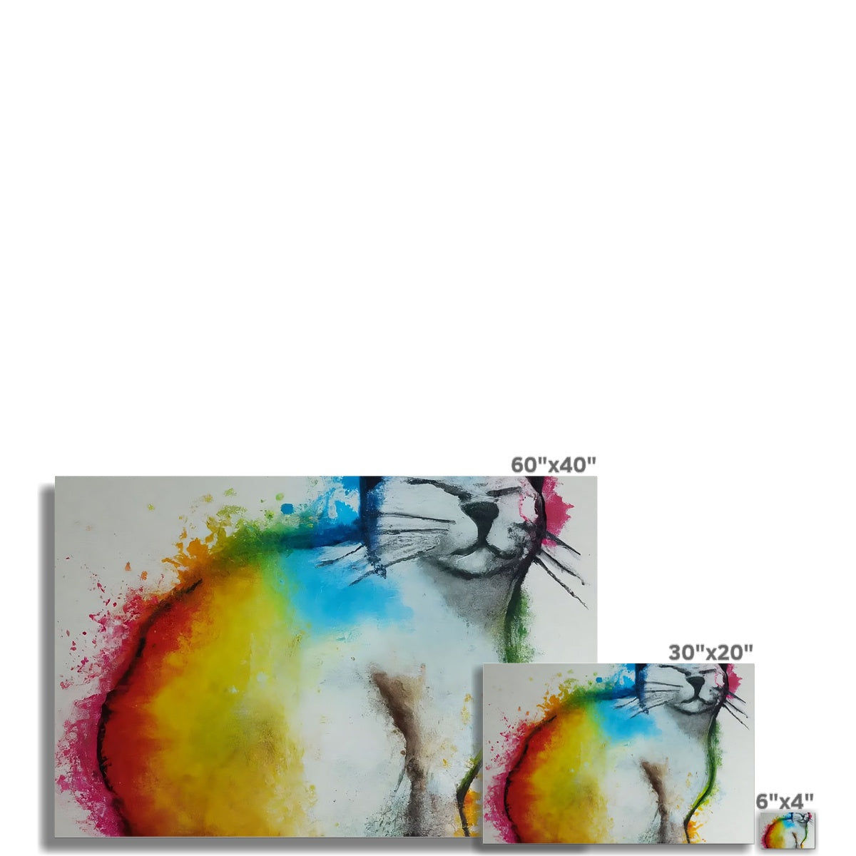 Rainbow Cat Fine Art Print Prodigi