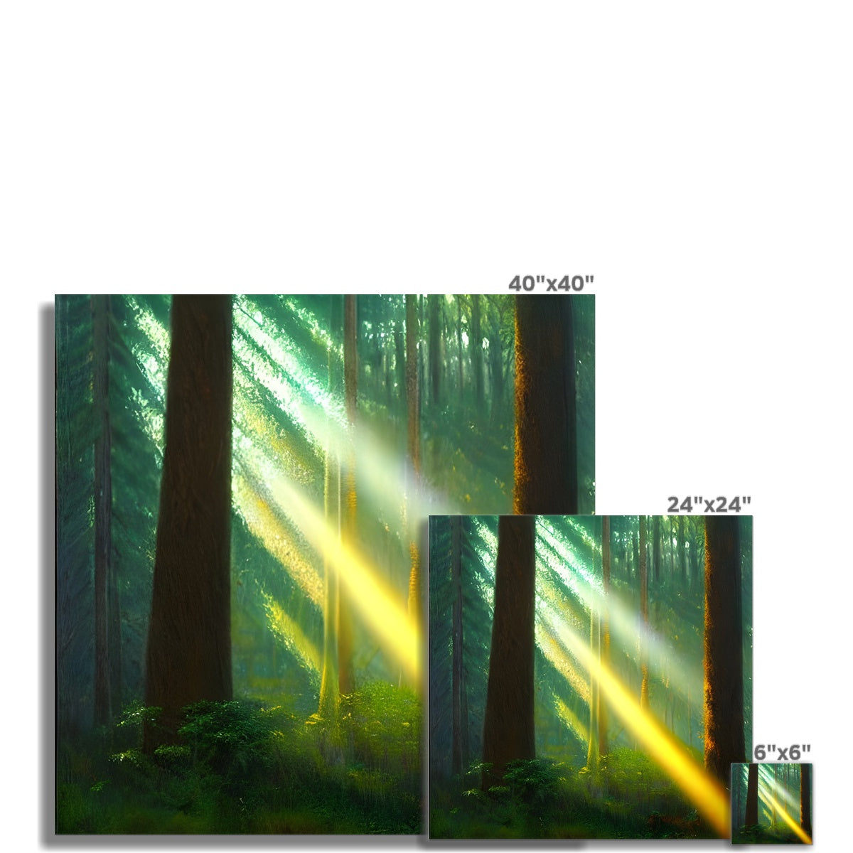 A Ray of Light in the Forest Fine Art Print Prodigi